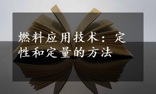 燃料应用技术：定性和定量的方法