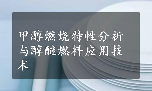 甲醇燃烧特性分析与醇醚燃料应用技术