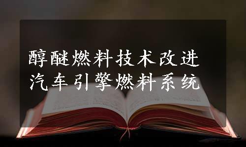 醇醚燃料技术改进汽车引擎燃料系统