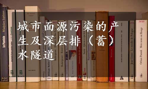 城市面源污染的产生及深层排（蓄）水隧道