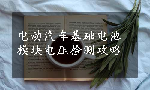 电动汽车基础电池模块电压检测攻略