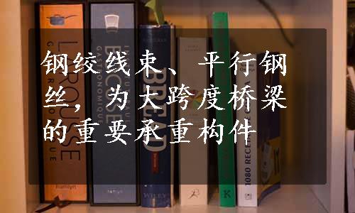 钢绞线束、平行钢丝，为大跨度桥梁的重要承重构件