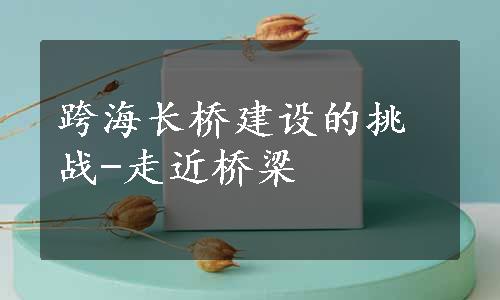 跨海长桥建设的挑战-走近桥梁