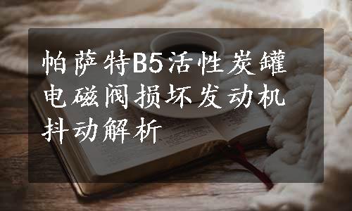 帕萨特B5活性炭罐电磁阀损坏发动机抖动解析