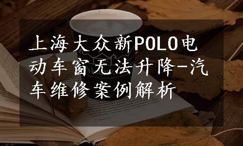 上海大众新POLO电动车窗无法升降-汽车维修案例解析