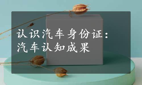 认识汽车身份证：汽车认知成果