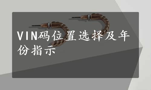 VIN码位置选择及年份指示