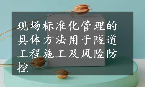 现场标准化管理的具体方法用于隧道工程施工及风险防控