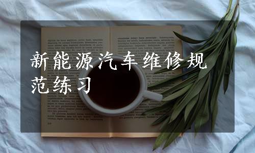 新能源汽车维修规范练习