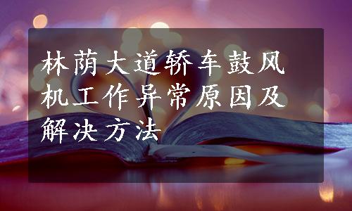 林荫大道轿车鼓风机工作异常原因及解决方法