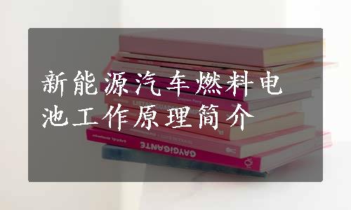 新能源汽车燃料电池工作原理简介