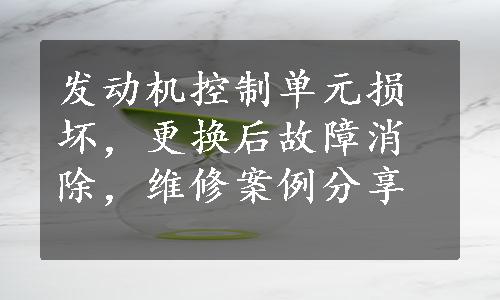 发动机控制单元损坏，更换后故障消除，维修案例分享