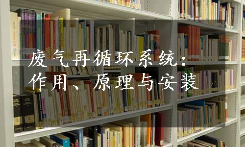 废气再循环系统：作用、原理与安装