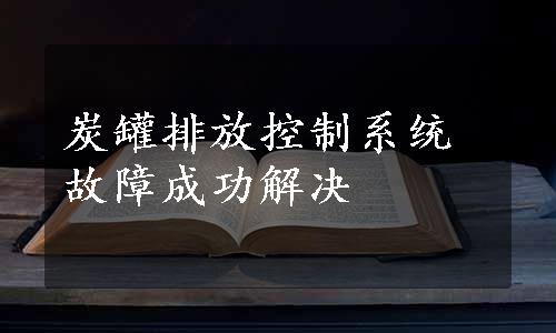 炭罐排放控制系统故障成功解决