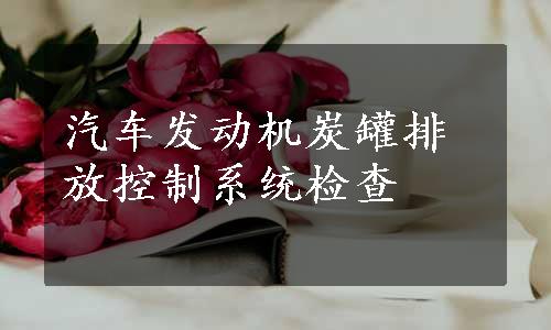 汽车发动机炭罐排放控制系统检查