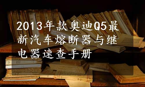 2013年款奥迪Q5最新汽车熔断器与继电器速查手册