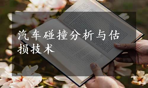 汽车碰撞分析与估损技术