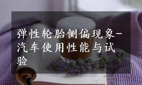 弹性轮胎侧偏现象-汽车使用性能与试验