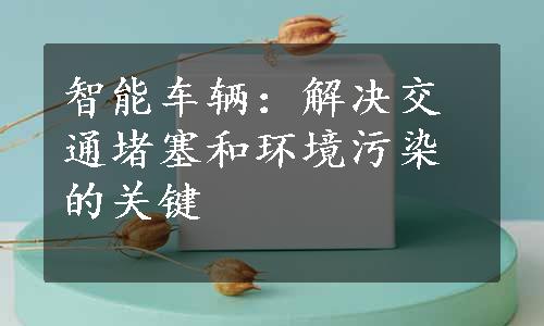 智能车辆：解决交通堵塞和环境污染的关键