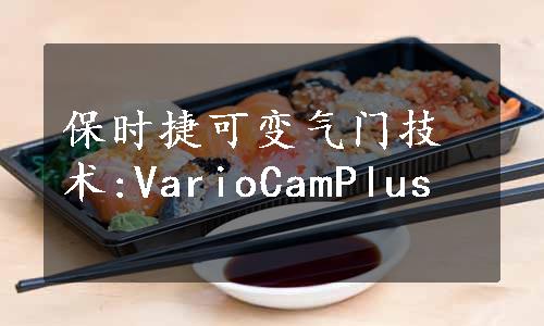 保时捷可变气门技术:VarioCamPlus