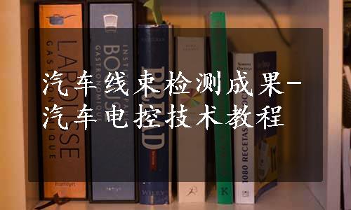 汽车线束检测成果-汽车电控技术教程