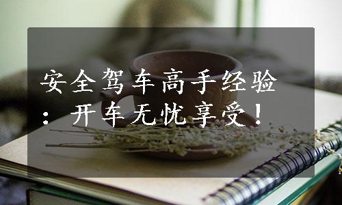 安全驾车高手经验：开车无忧享受！