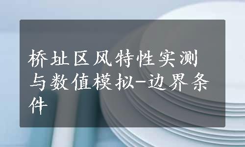 桥址区风特性实测与数值模拟-边界条件