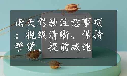 雨天驾驶注意事项：视线清晰、保持警觉、提前减速