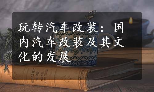 玩转汽车改装：国内汽车改装及其文化的发展