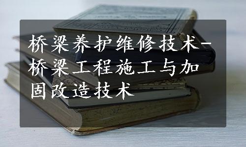 桥梁养护维修技术-桥梁工程施工与加固改造技术