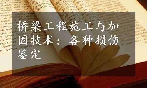 桥梁工程施工与加固技术：各种损伤鉴定