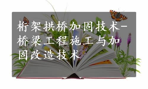 桁架拱桥加固技术-桥梁工程施工与加固改造技术