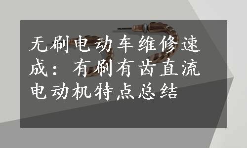 无刷电动车维修速成：有刷有齿直流电动机特点总结