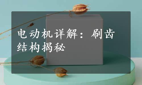 电动机详解：刷齿结构揭秘