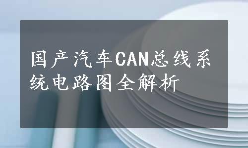 国产汽车CAN总线系统电路图全解析