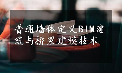 普通墙体定义BIM建筑与桥梁建模技术