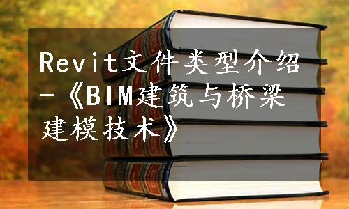 Revit文件类型介绍-《BIM建筑与桥梁建模技术》