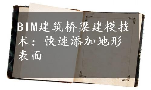 BIM建筑桥梁建模技术：快速添加地形表面