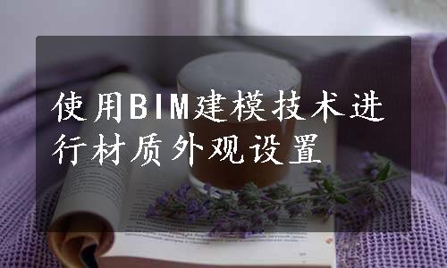 使用BIM建模技术进行材质外观设置