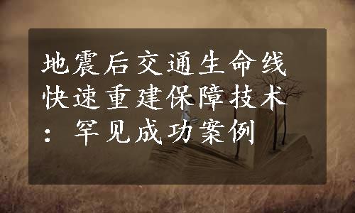 地震后交通生命线快速重建保障技术：罕见成功案例