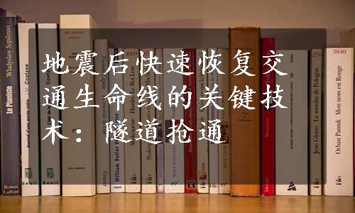 地震后快速恢复交通生命线的关键技术：隧道抢通