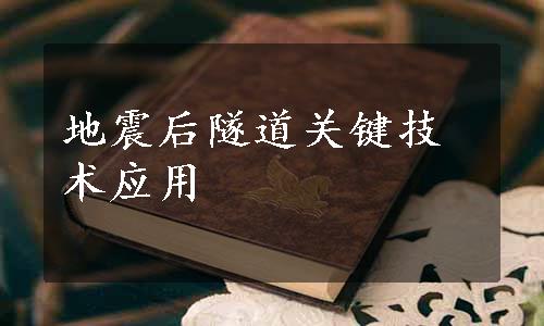 地震后隧道关键技术应用