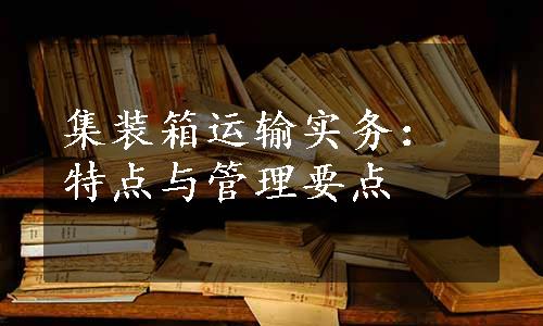 集装箱运输实务：特点与管理要点