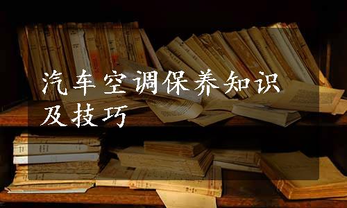 汽车空调保养知识及技巧