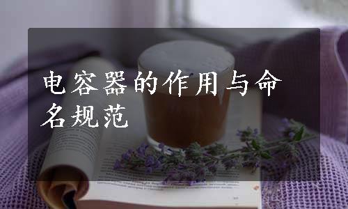 电容器的作用与命名规范