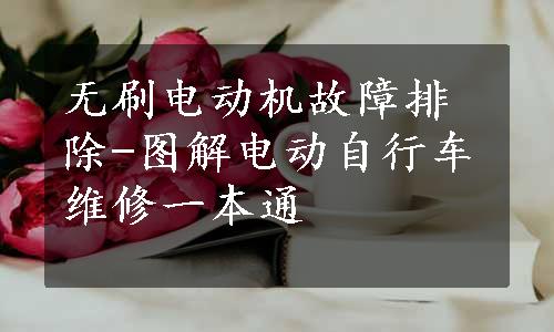 无刷电动机故障排除-图解电动自行车维修一本通