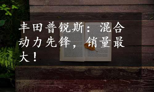 丰田普锐斯：混合动力先锋，销量最大！