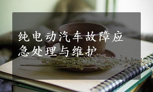 纯电动汽车故障应急处理与维护