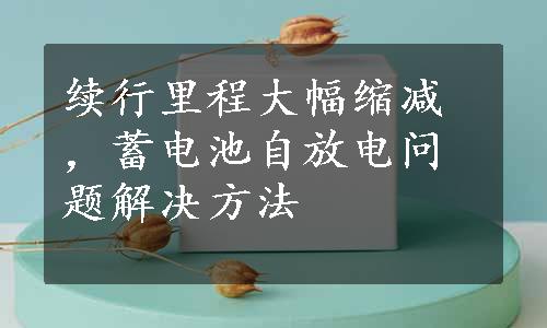 续行里程大幅缩减，蓄电池自放电问题解决方法