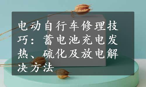 电动自行车修理技巧：蓄电池充电发热、硫化及放电解决方法